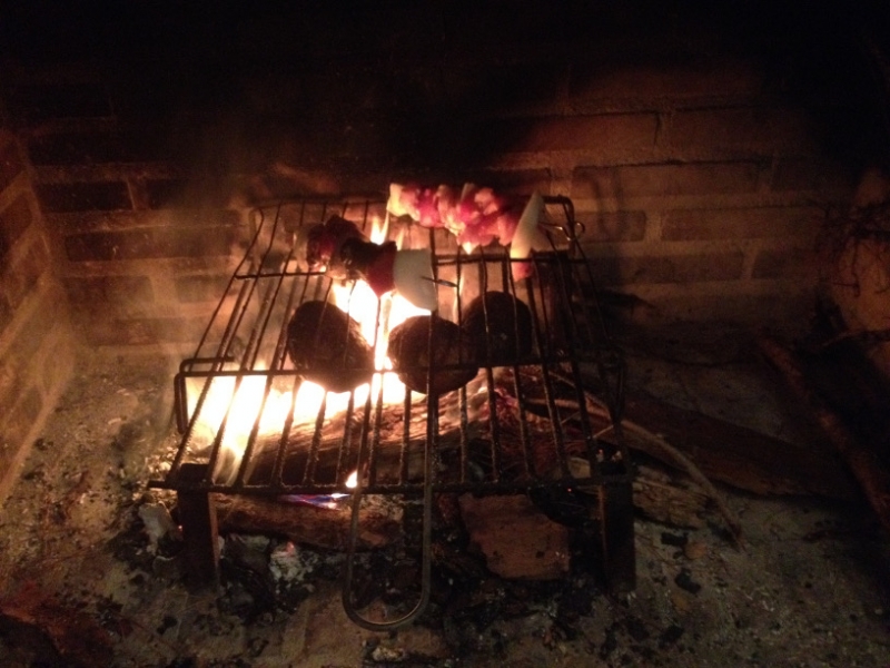 3796 28-11 Chicken kebabs