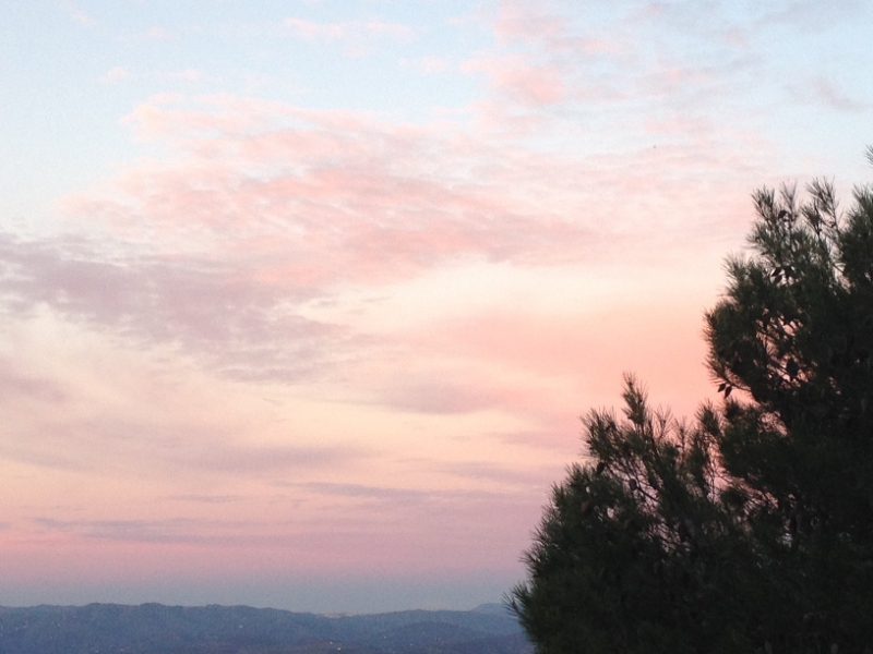 3799 29-11 Morning sky