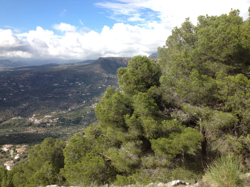 3807 29-11 view