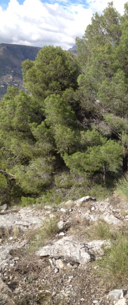 3810 29-11 view