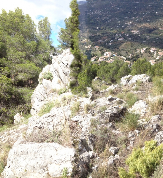 3812 29-11 view