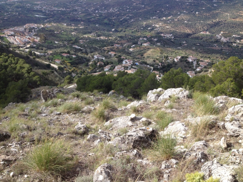 3815 29-11 view