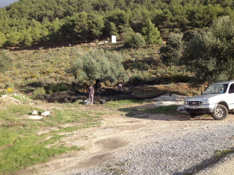 3822 29-11 Roadside