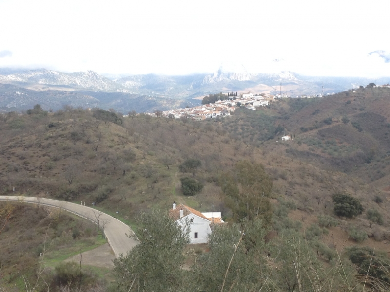 3931 2-12 view
