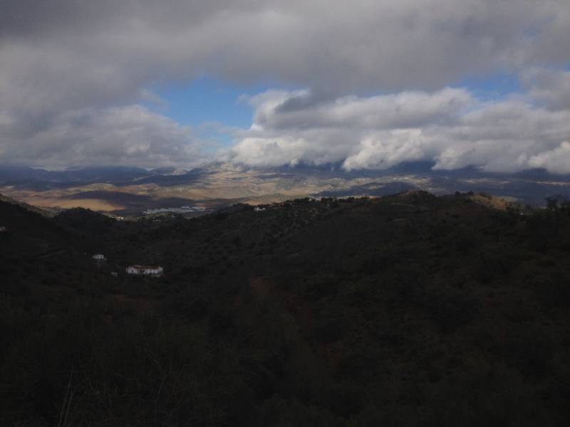 3936 2-12 view