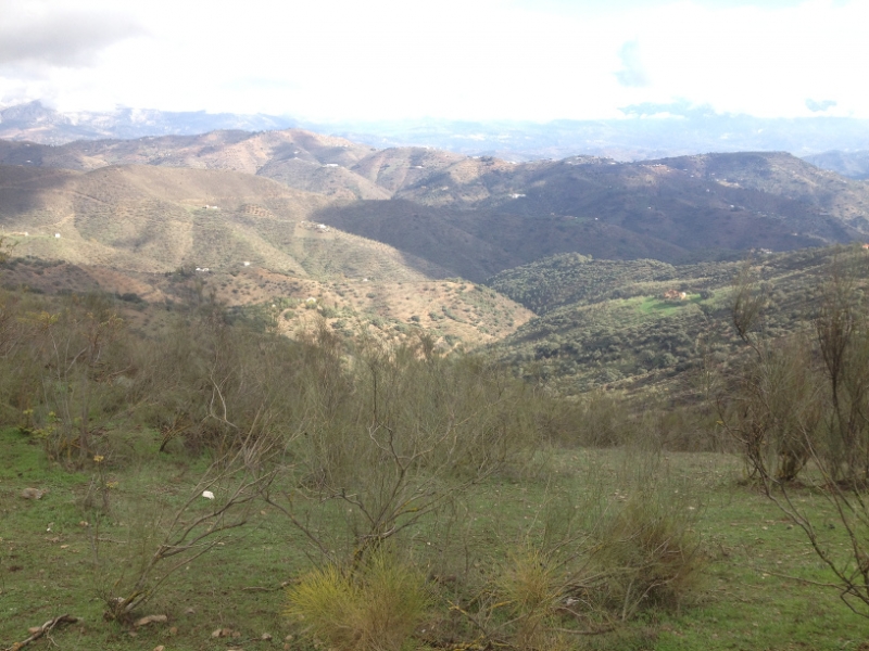3938 2-12 view