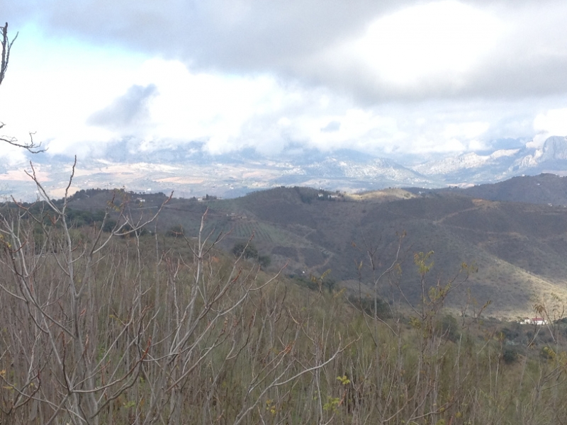 3939 2-12 view