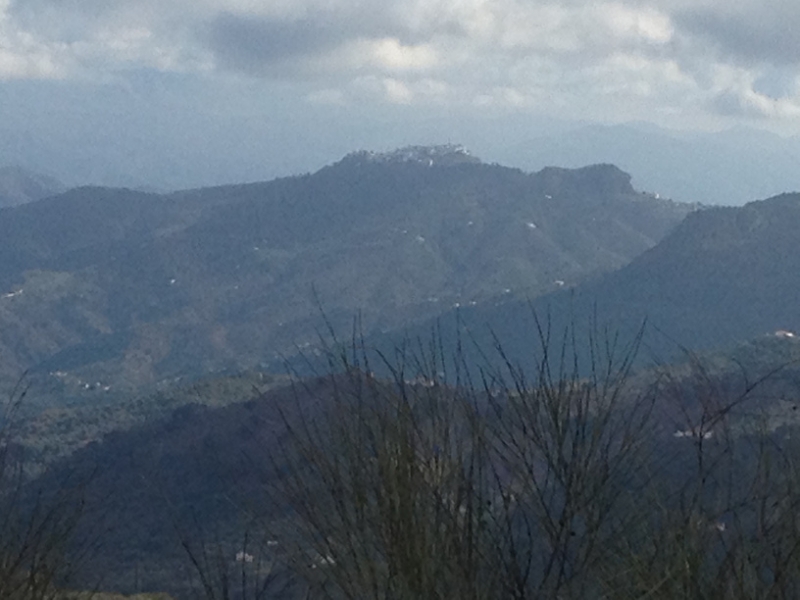 3941 2-12 view