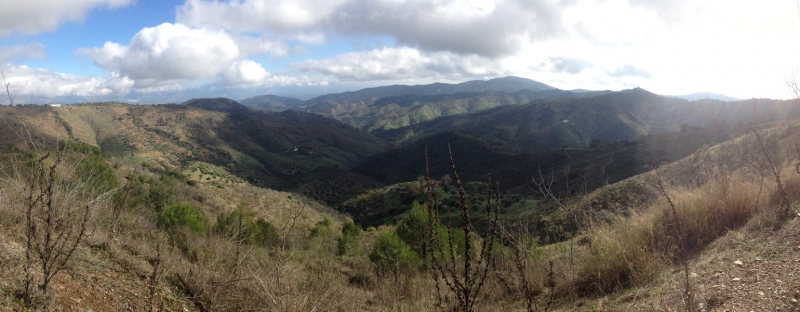 3945 2-12 panorama view