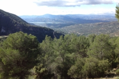3691 28-11 view