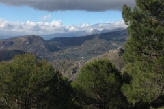 3692 28-11 view