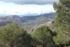 3693 28-11 view