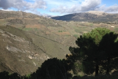 3694 28-11 view