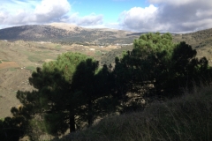 3695 28-11 view
