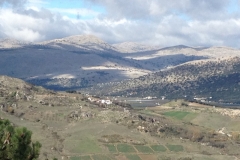 3696 28-11 view