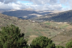 3697 28-11 view