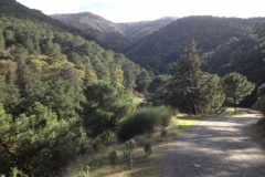 3698 28-11 view