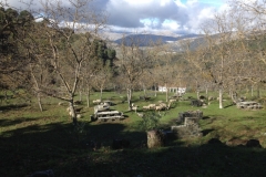 3702 28-11 picnic sheep