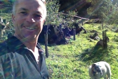 3706 28-11 Brian and sheep
