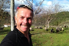 3707 28-11 Brian and sheep