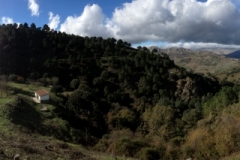 3710 28-11 Panorama