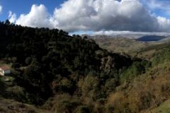 3711 28-11 Panorama