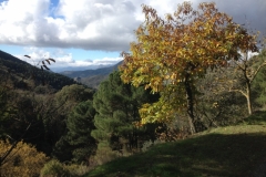 3712 28-11 view