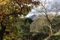 3713 28-11 view