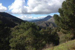 3714 28-11 view
