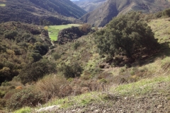 3715 28-11 view
