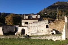 3769 28-11 horse & house