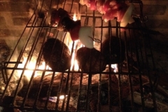 3794 28-11 Chicken kebabs