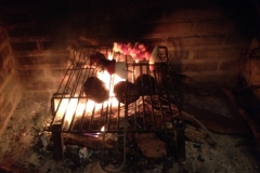 3796 28-11 Chicken kebabs