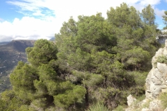 3806 29-11 view