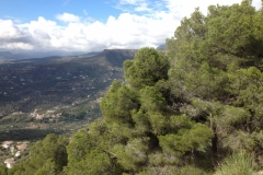 3807 29-11 view