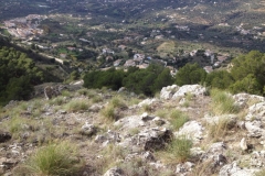 3815 29-11 view