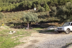 3822 29-11 Roadside