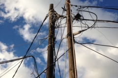 3830 29-11 Wiring