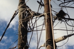 3831 29-11 Wiring