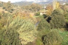 3928 2-12 view