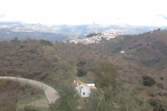 3931 2-12 view