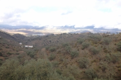 3935 2-12 view