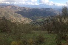 3937 2-12 view