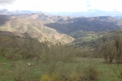 3938 2-12 view
