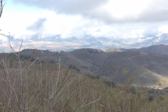 3939 2-12 view