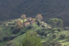 3943 2-12 house view