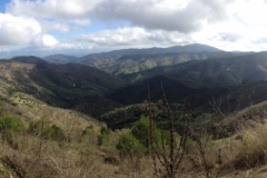 3945 2-12 panorama view