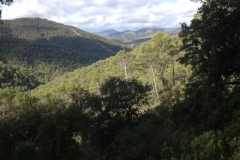 3950 2-12 view