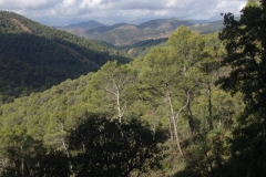 3951 2-12 view