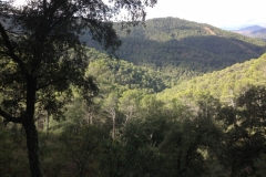 3952 2-12 view